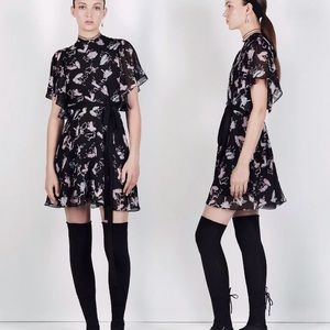 Limited Edition Zara Studio Ballerina Print Dress